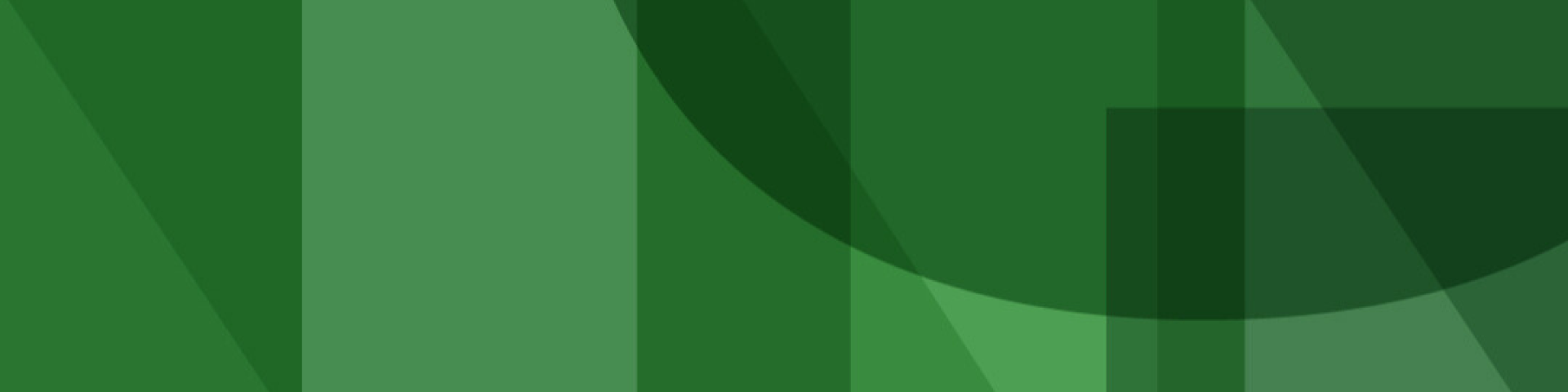 MERIT Banner